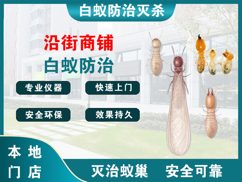 阜宁沿街商铺白蚁防治