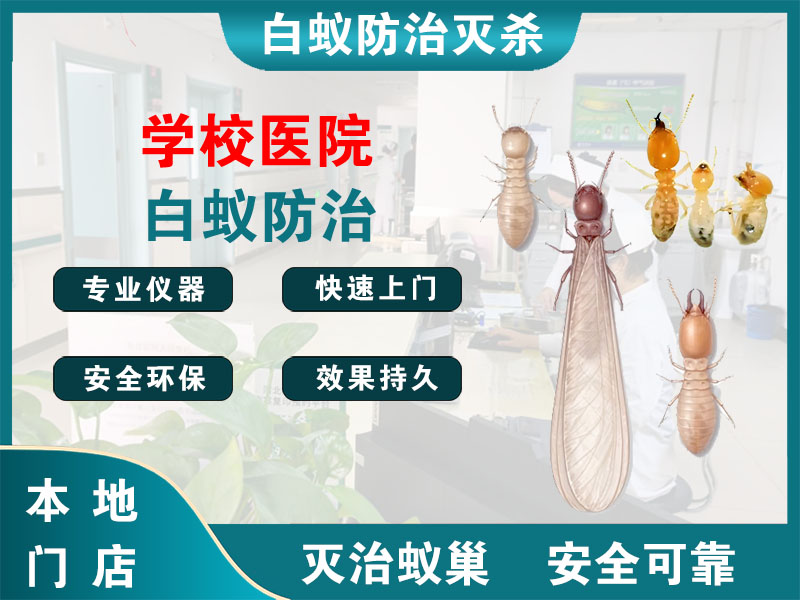 阜宁学校医院白蚁防治