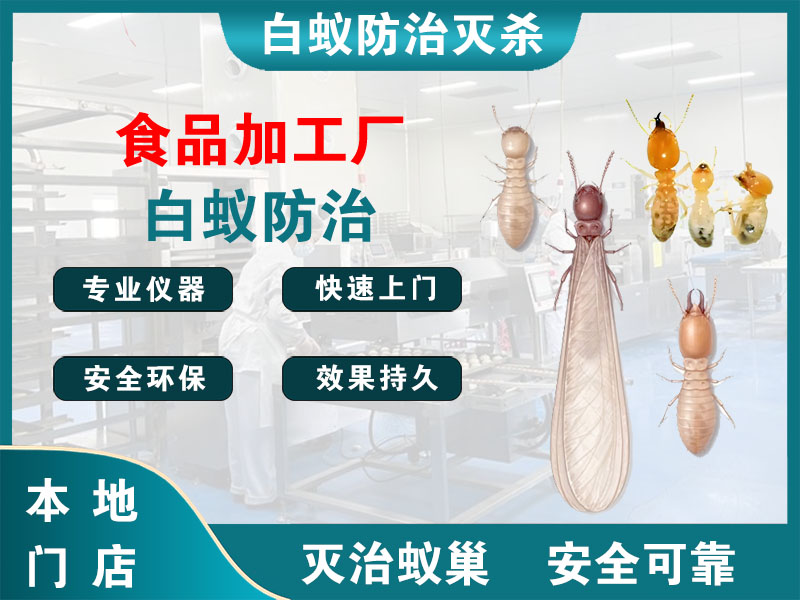 阜宁食品加工厂白蚁防治