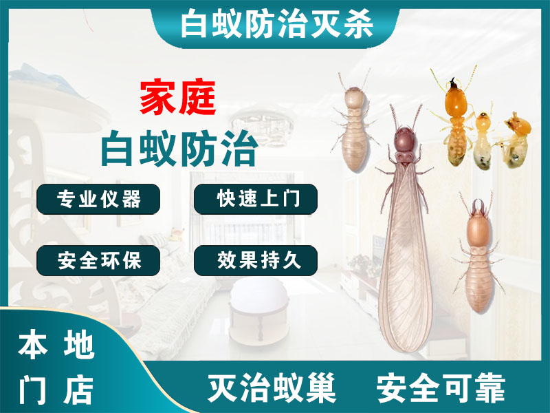 阜宁家庭白蚁防治
