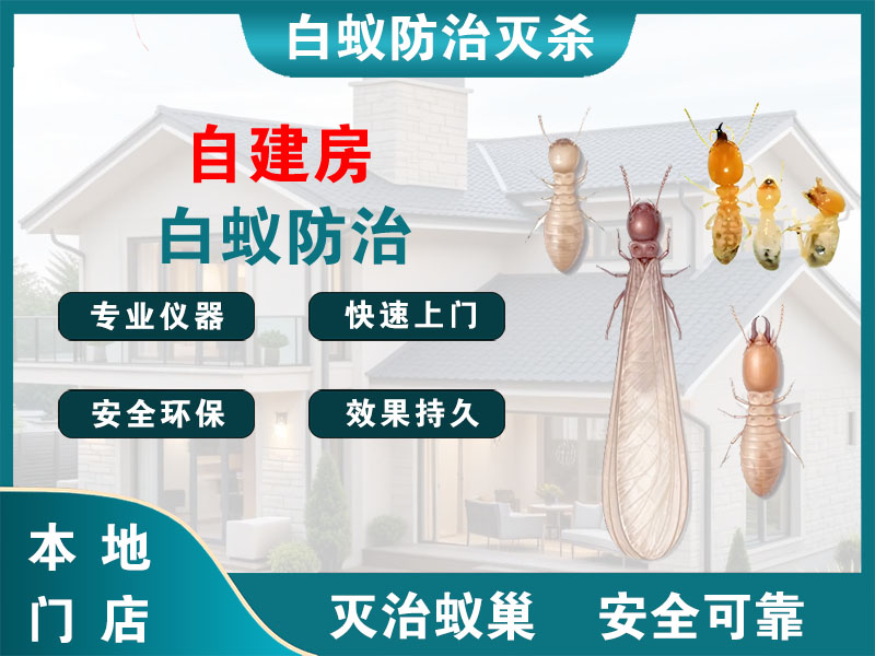 阜宁自建房白蚁防治