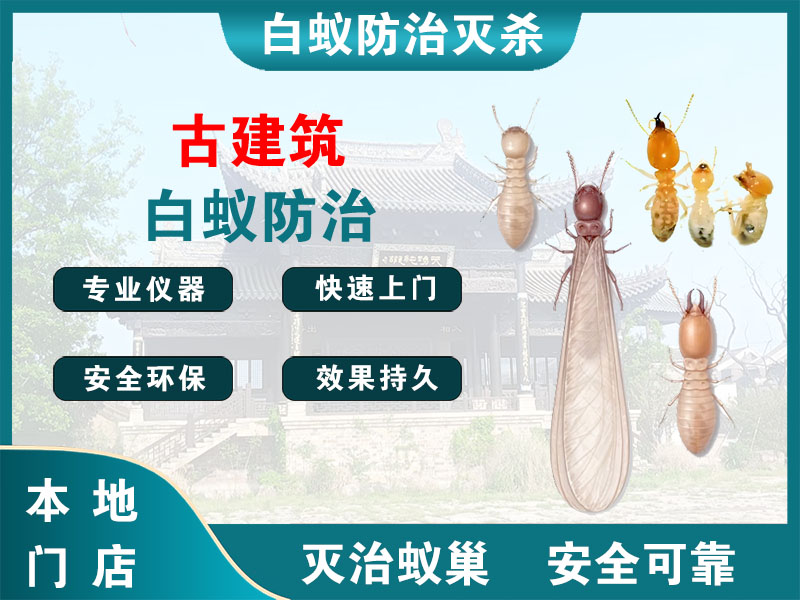 阜宁古建筑白蚁防治