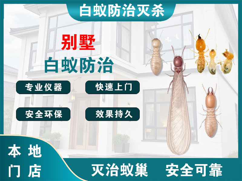 阜宁别墅白蚁防治