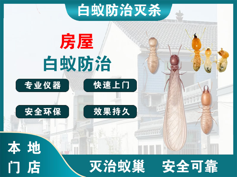 阜宁房屋白蚁防治
